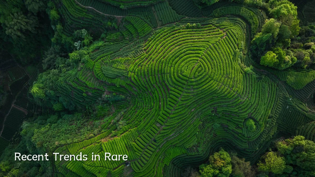 Recent Trends in Rare