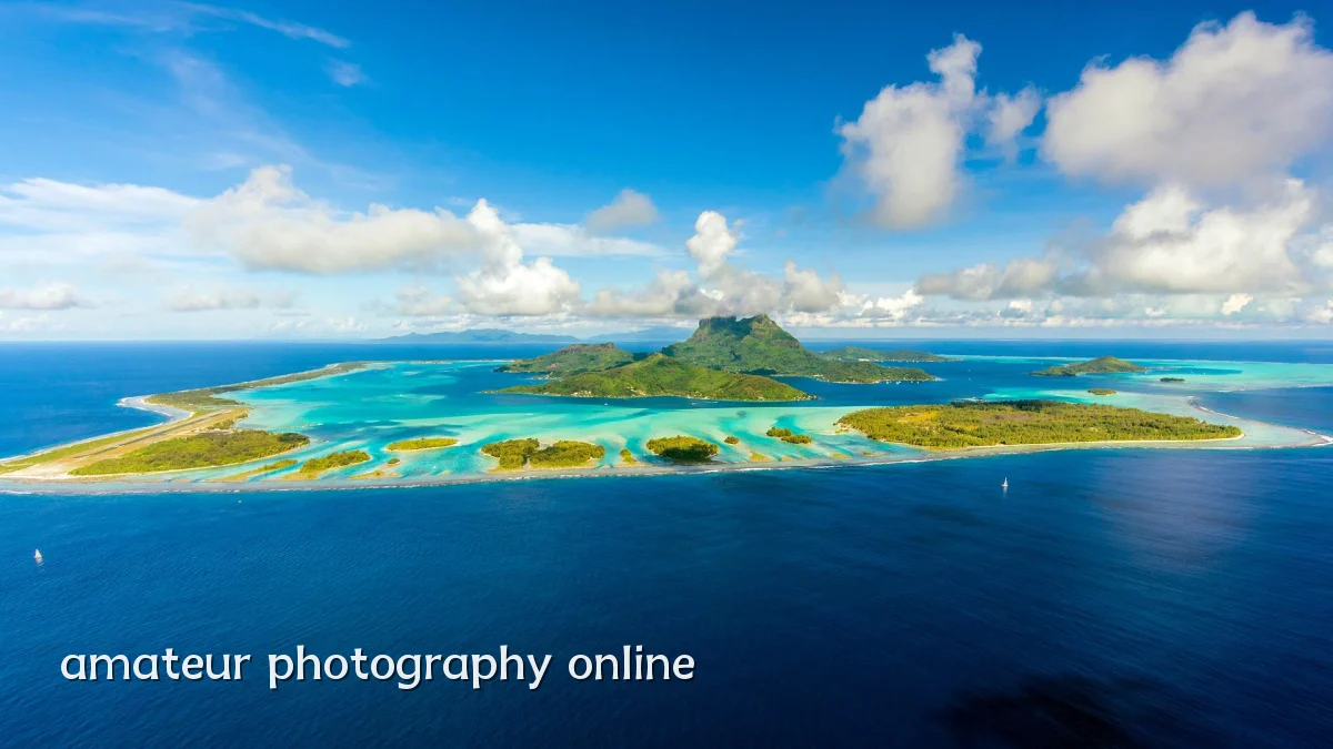 amateur photography online