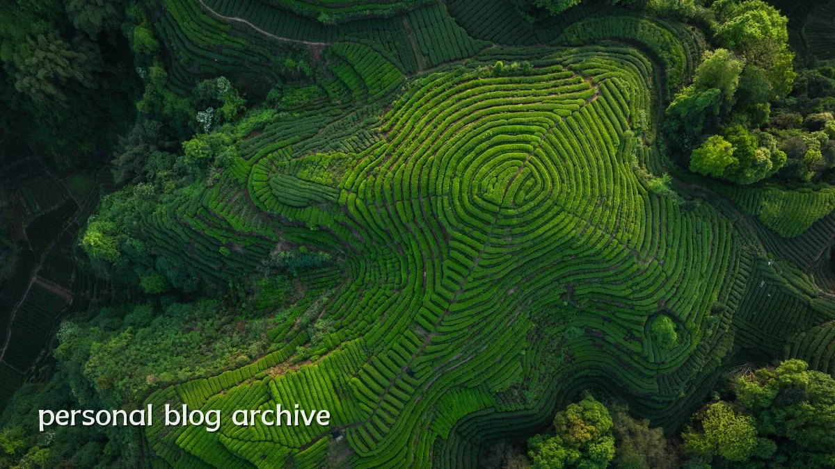 personal blog archive