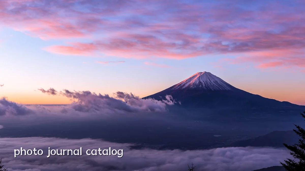 photo journal catalog