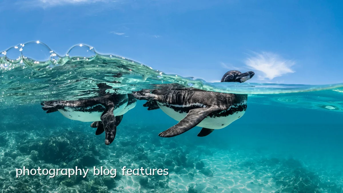 photography blog features