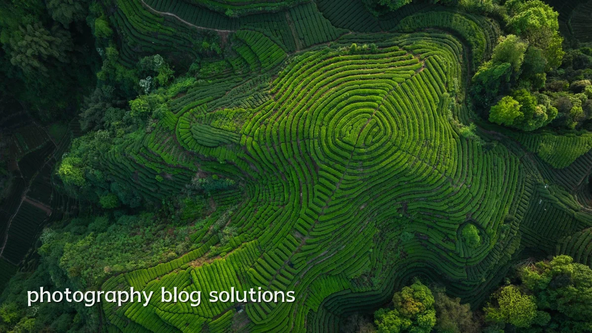 photography blog solutions