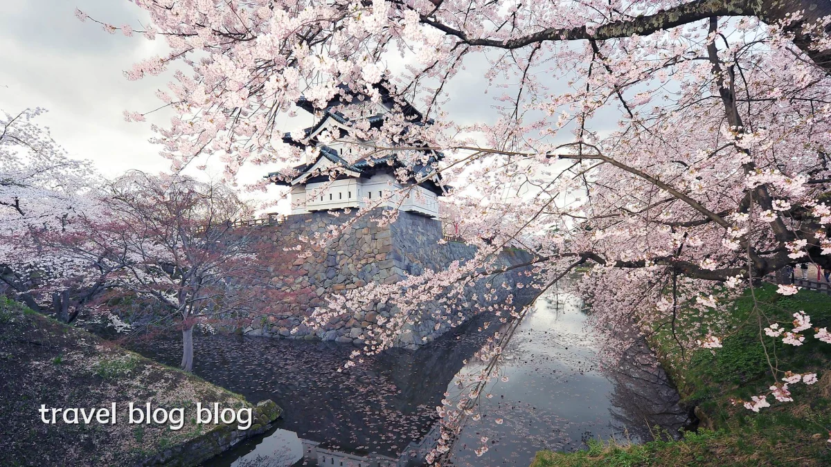 travel blog blog