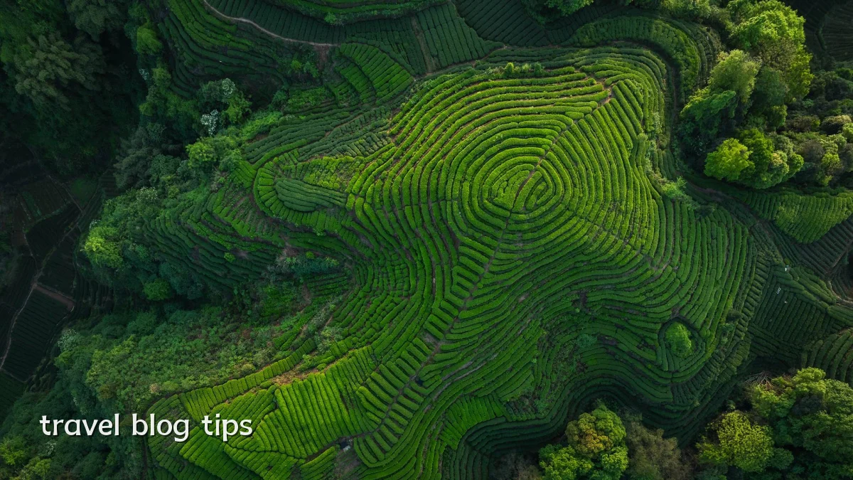 travel blog tips