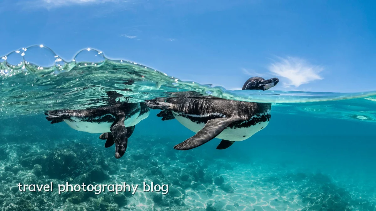 travel photography blog