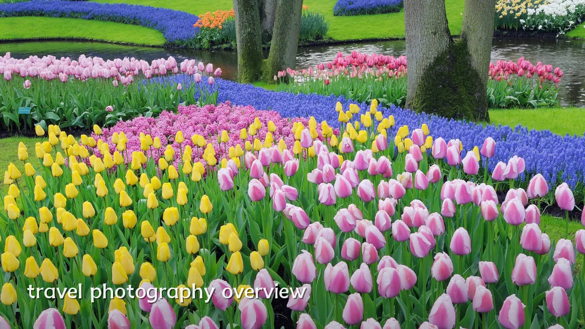 travel photography overview