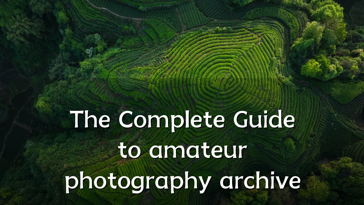 The Complete Guide to amateur photography archive