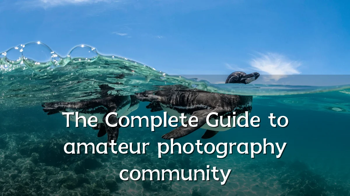 The Complete Guide to amateur photography community