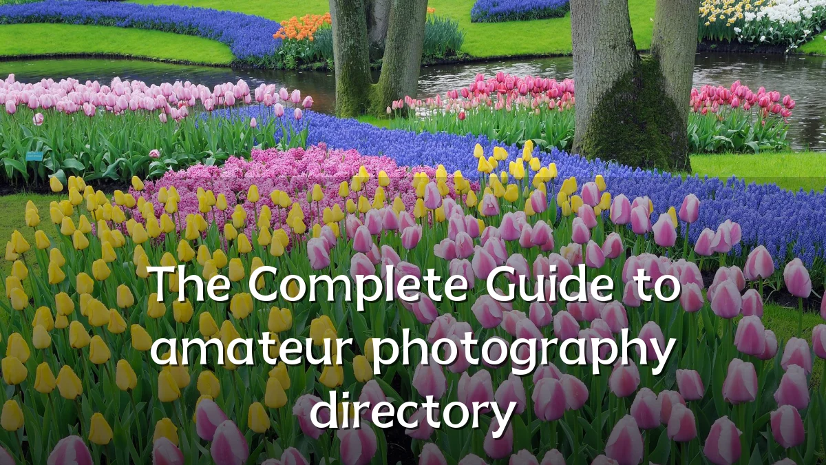 The Complete Guide to amateur photography directory