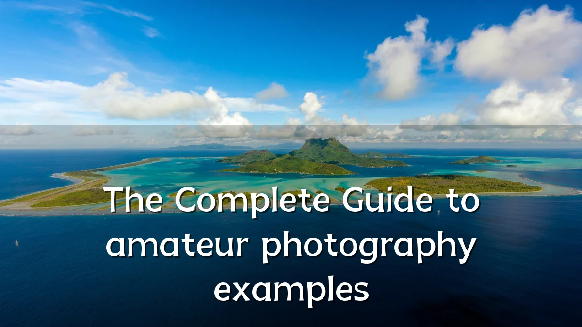 The Complete Guide to amateur photography examples