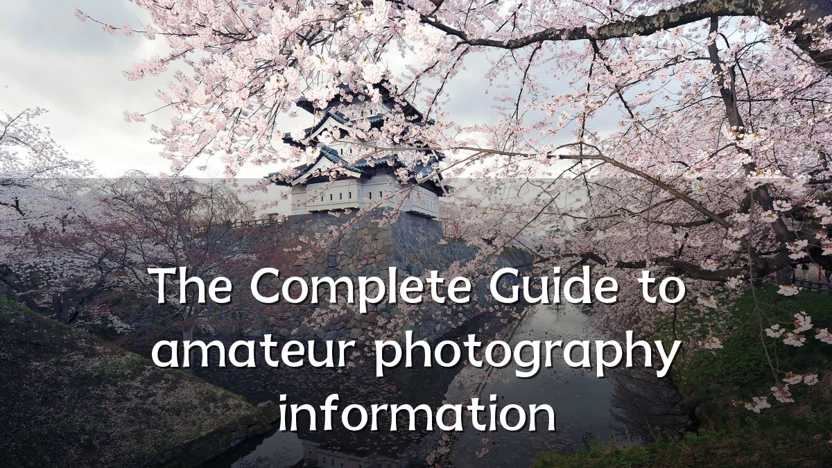 The Complete Guide to amateur photography information