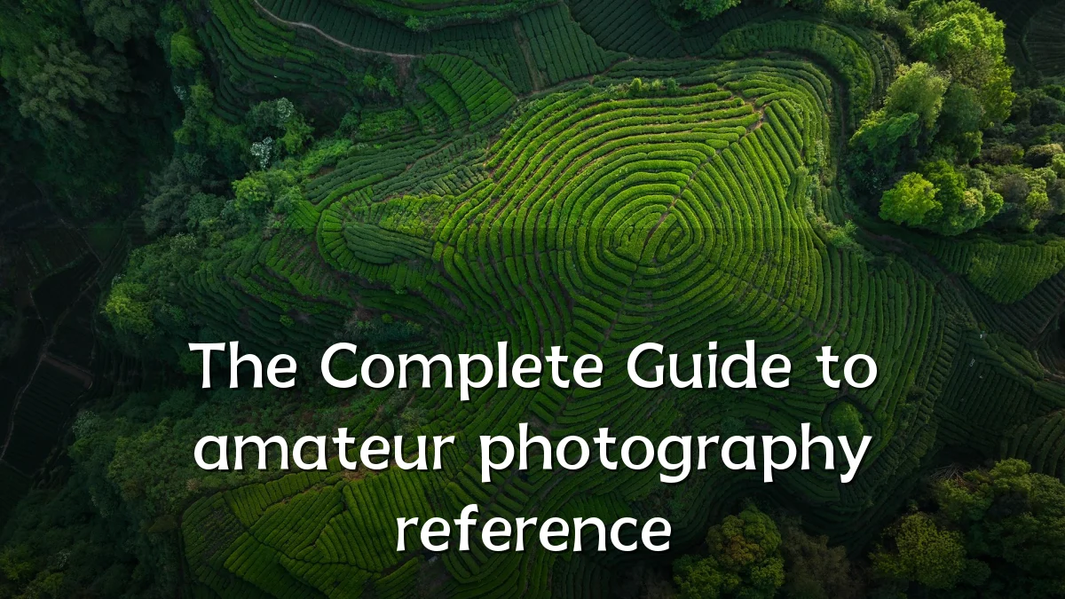 The Complete Guide to amateur photography reference