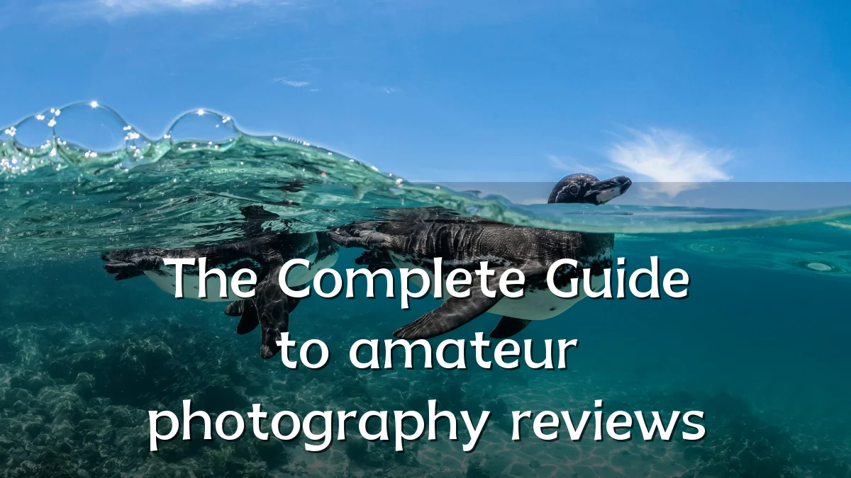 The Complete Guide to amateur photography reviews