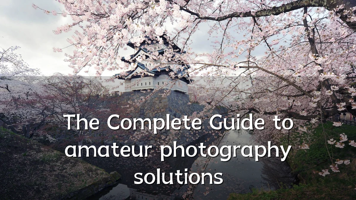 The Complete Guide to amateur photography solutions