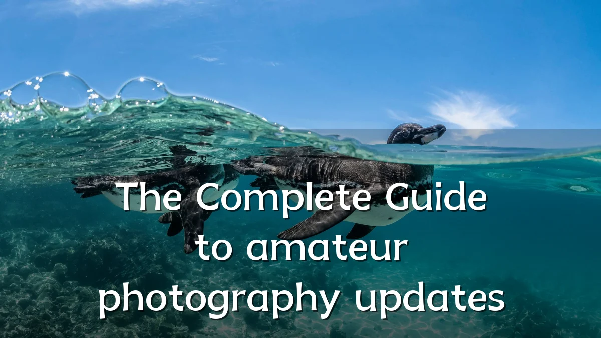 The Complete Guide to amateur photography updates