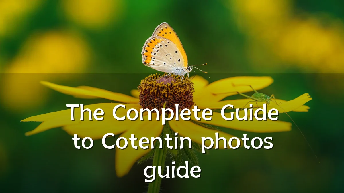 The Complete Guide to Cotentin photos guide
