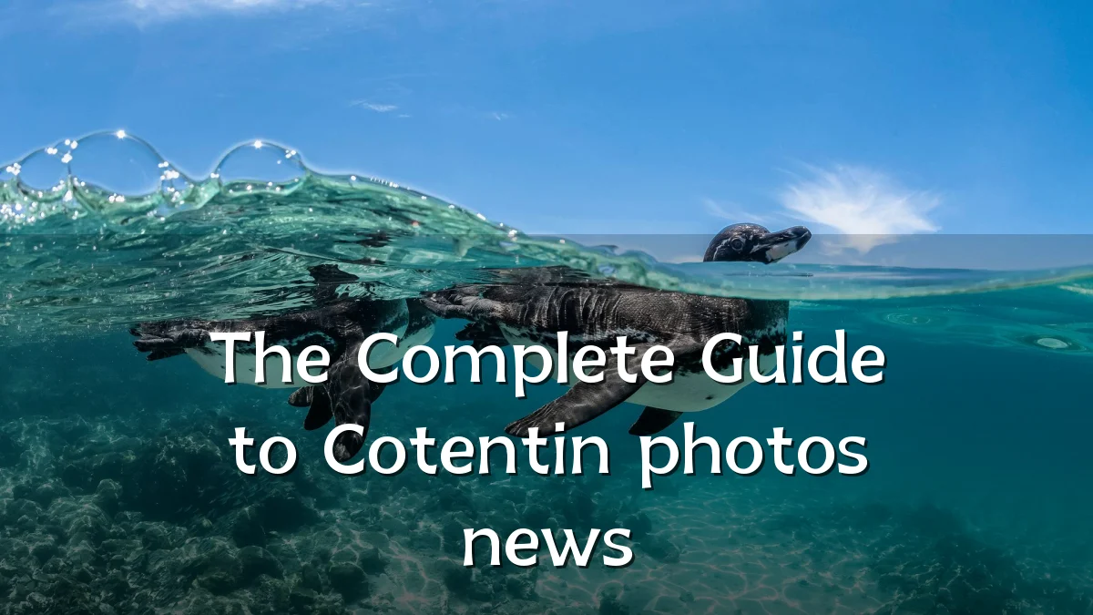 The Complete Guide to Cotentin photos news