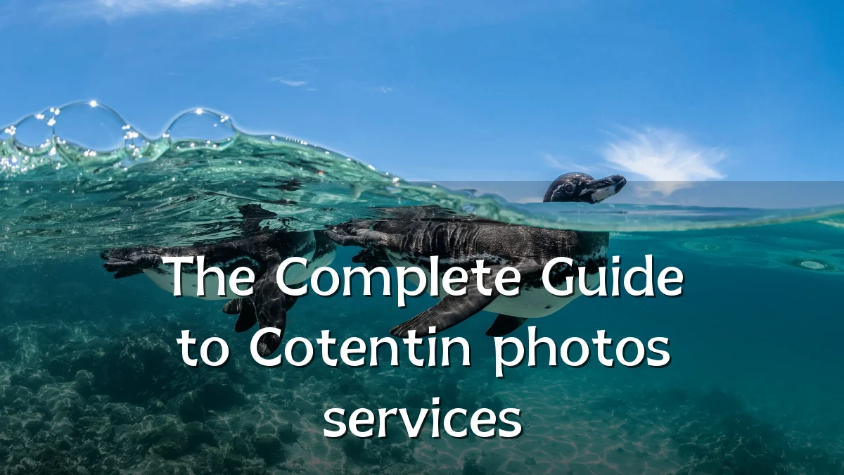 The Complete Guide to Cotentin photos services