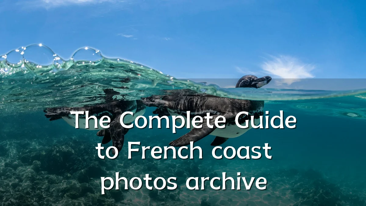 The Complete Guide to French coast photos archive