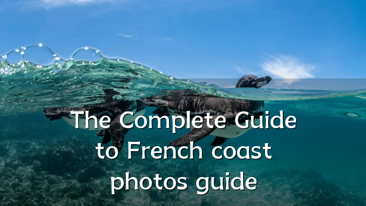 The Complete Guide to French coast photos guide