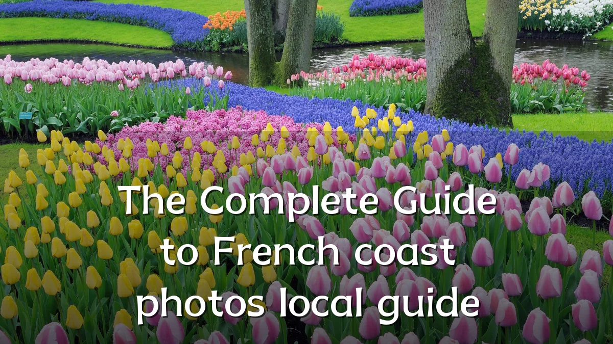 The Complete Guide to French coast photos local guide