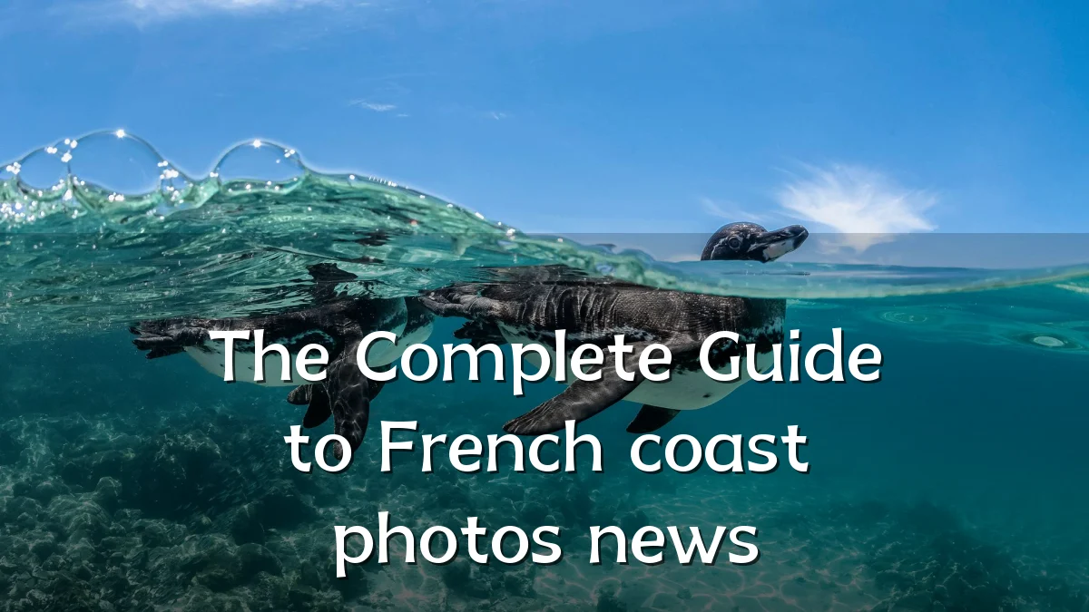 The Complete Guide to French coast photos news