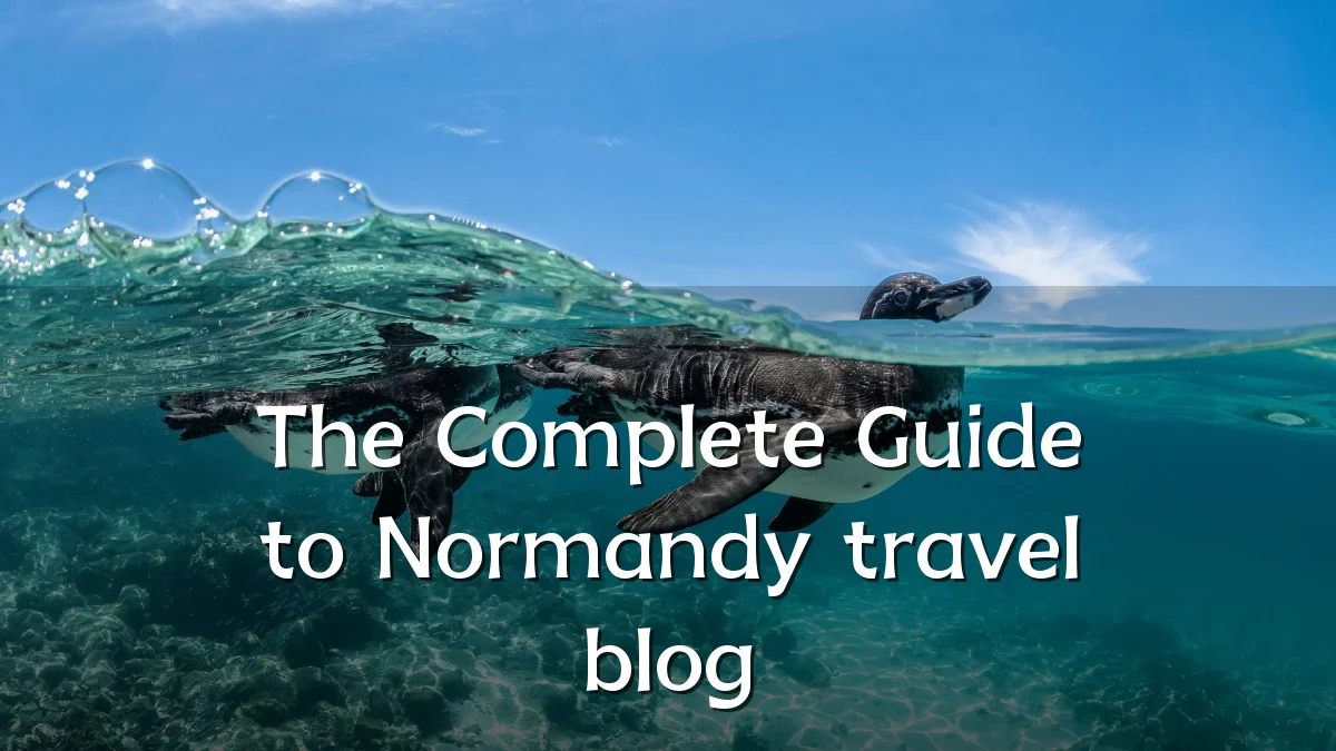 The Complete Guide to Normandy travel blog