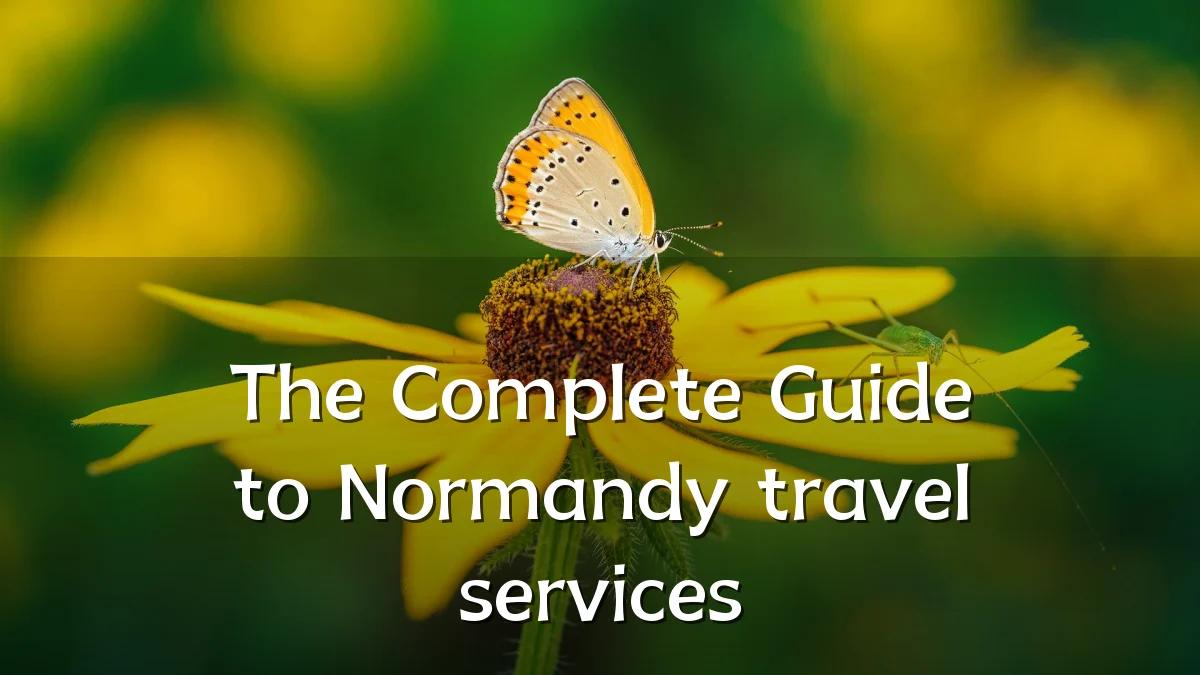 The Complete Guide to Normandy travel services