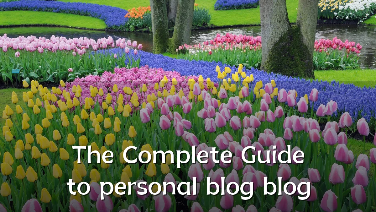 The Complete Guide to personal blog blog