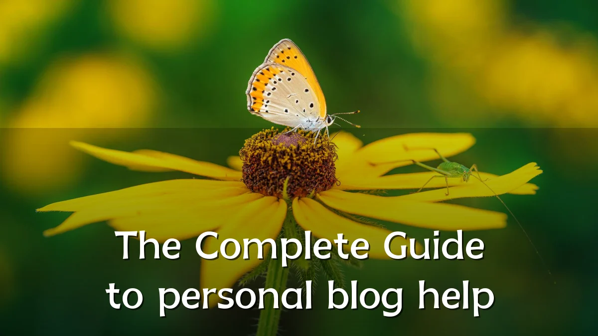 The Complete Guide to personal blog help
