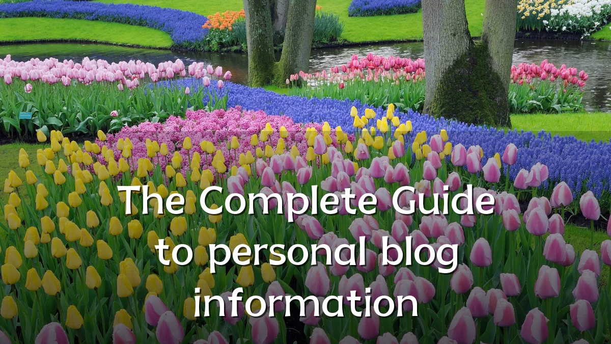 The Complete Guide to personal blog information