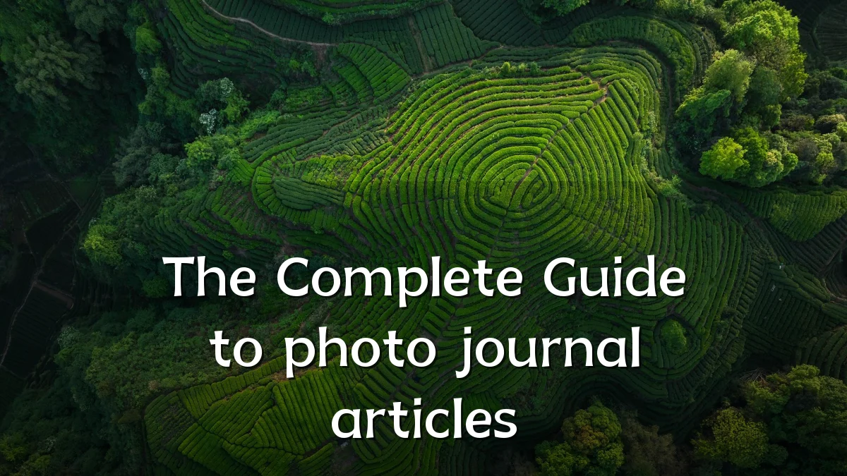 The Complete Guide to photo journal articles