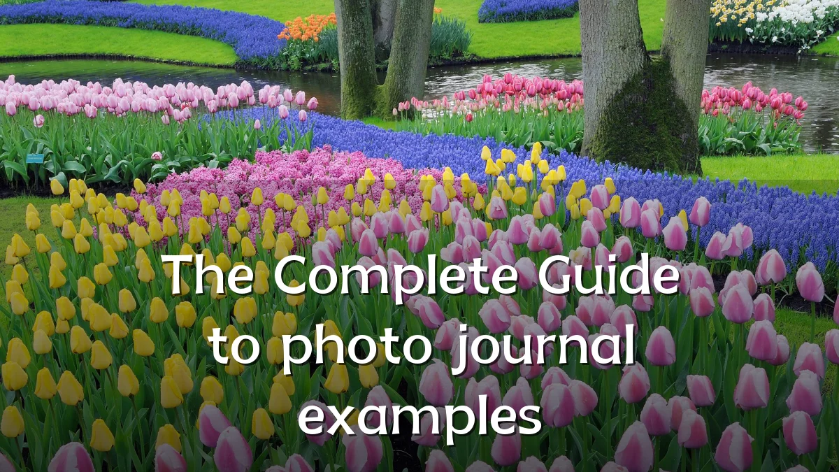 The Complete Guide to photo journal examples