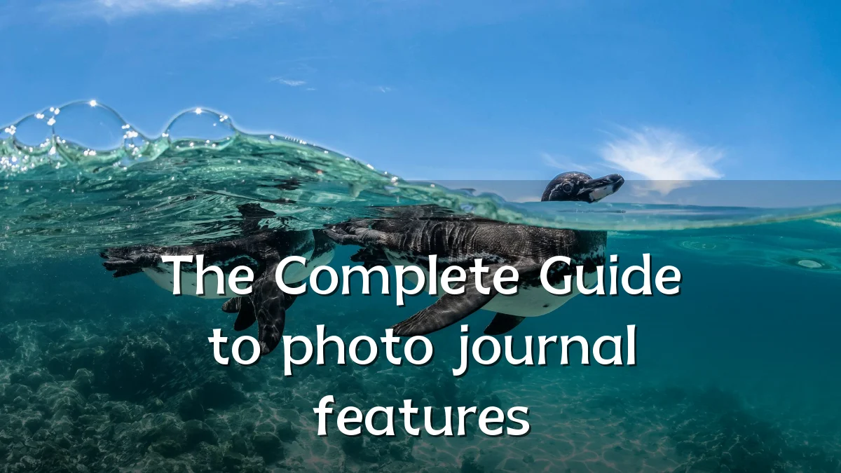 The Complete Guide to photo journal features