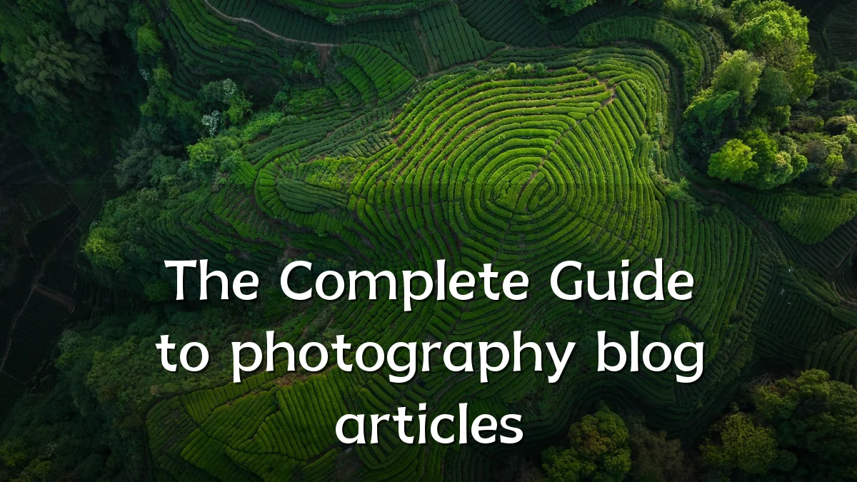 The Complete Guide to photography blog articles