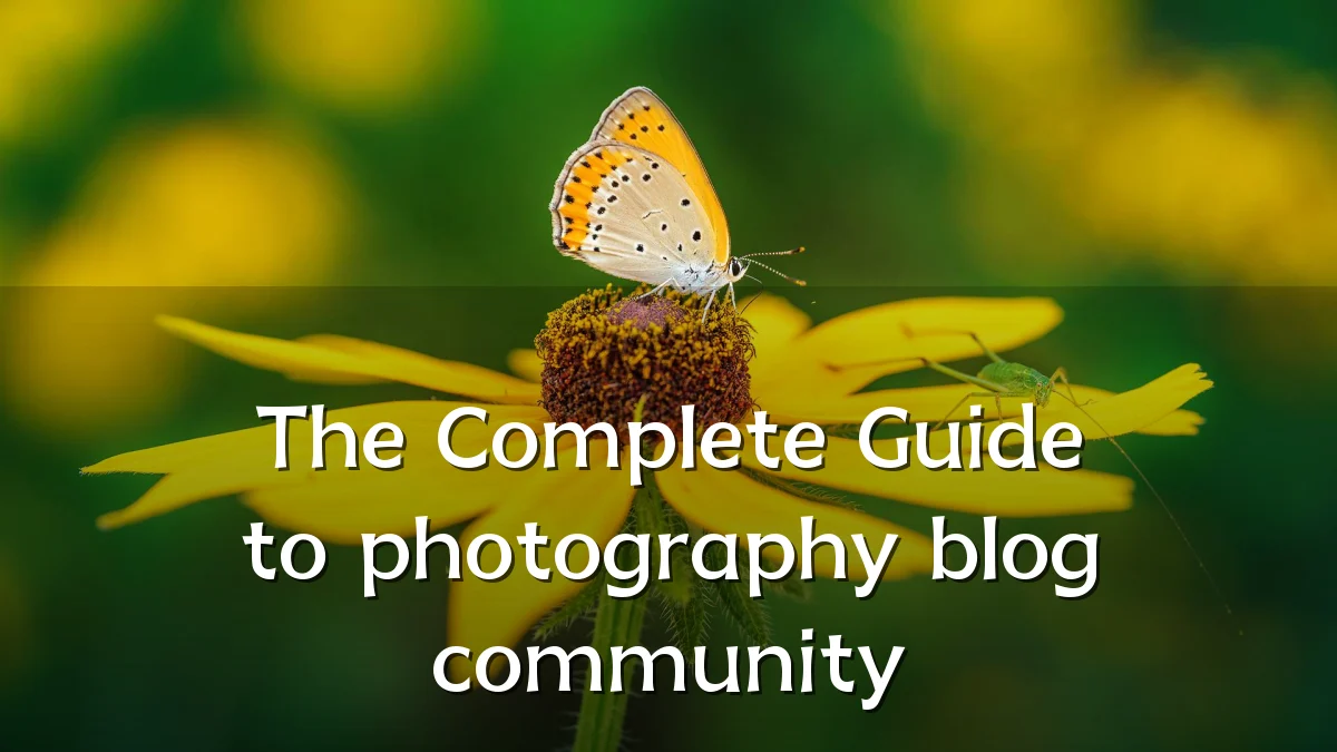 The Complete Guide to photography blog community
