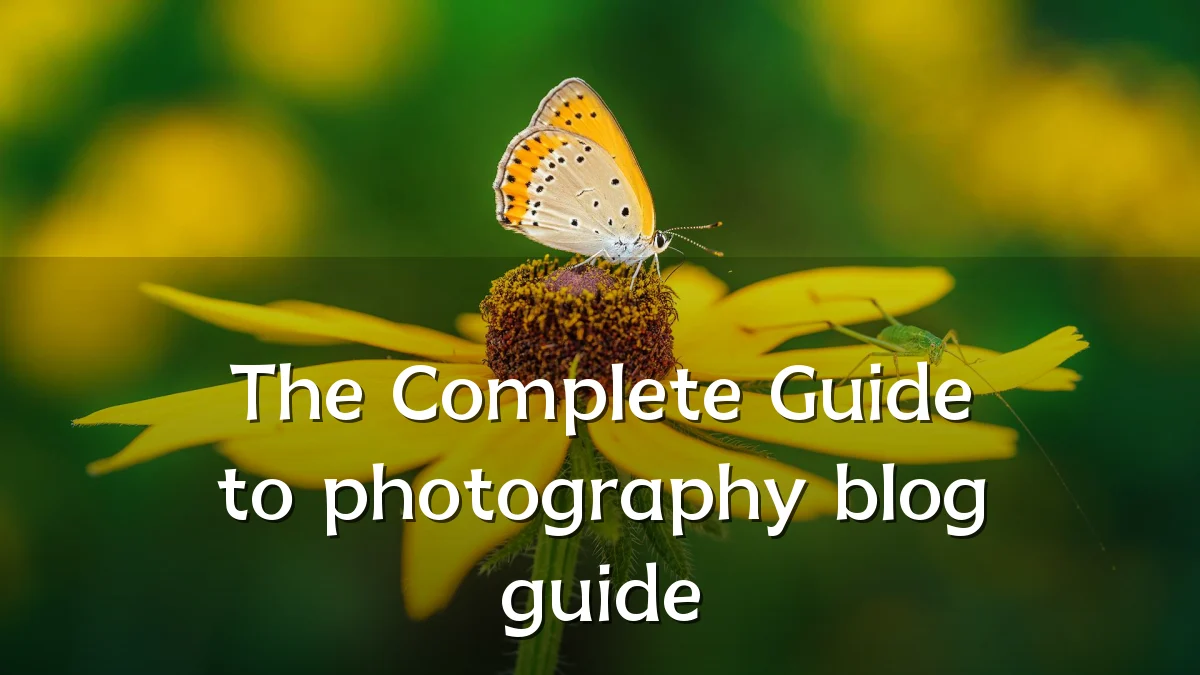 The Complete Guide to photography blog guide