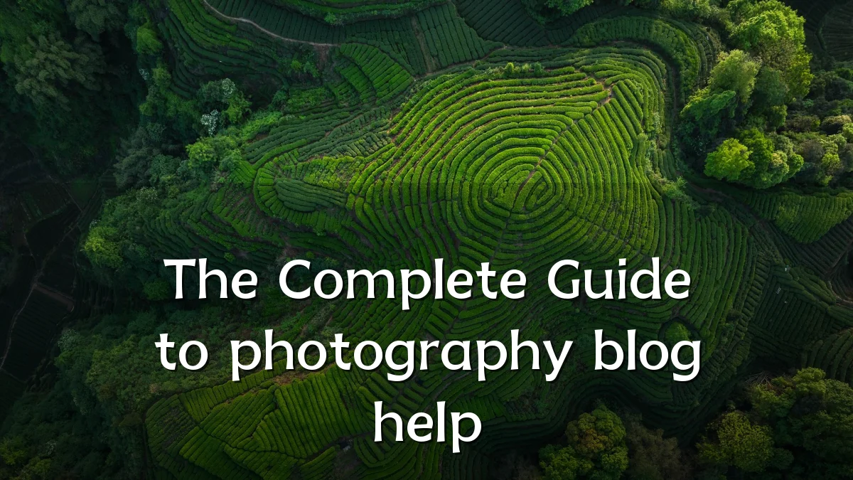The Complete Guide to photography blog help