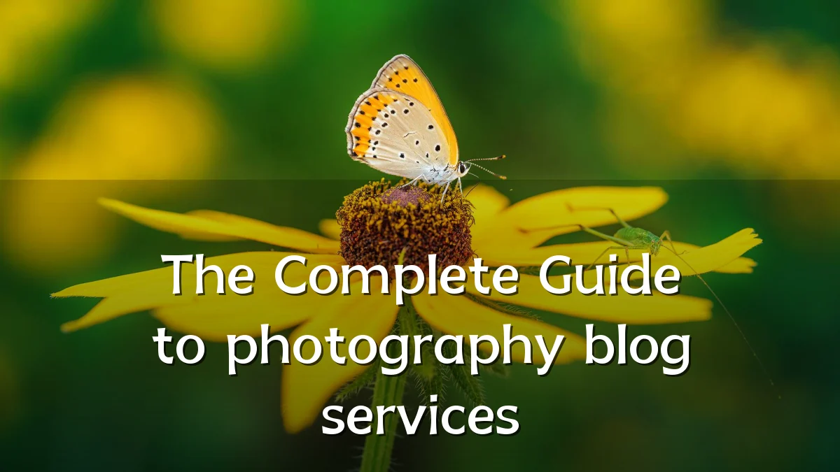 The Complete Guide to photography blog services