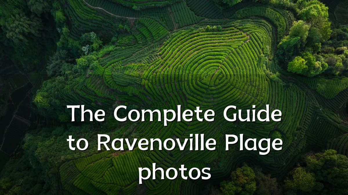 The Complete Guide to Ravenoville Plage photos