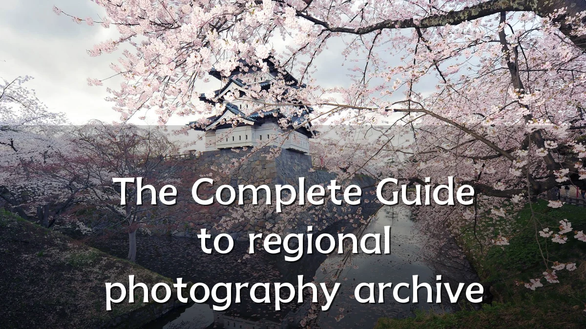 The Complete Guide to regional photography archive