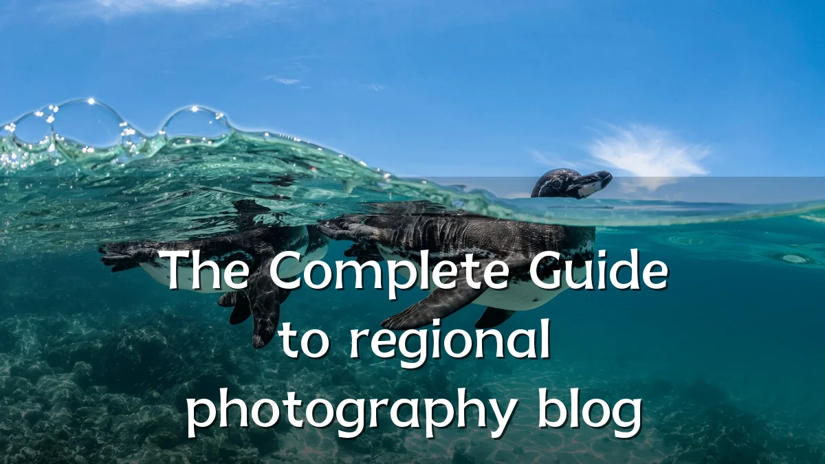 The Complete Guide to regional photography blog