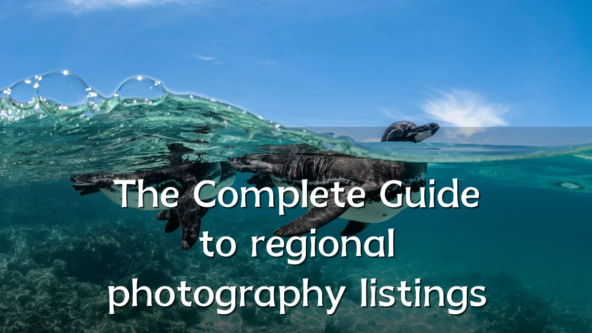 The Complete Guide to regional photography listings