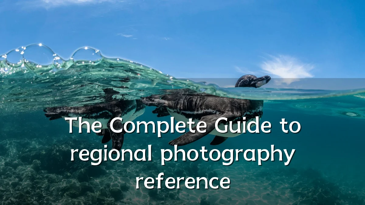 The Complete Guide to regional photography reference
