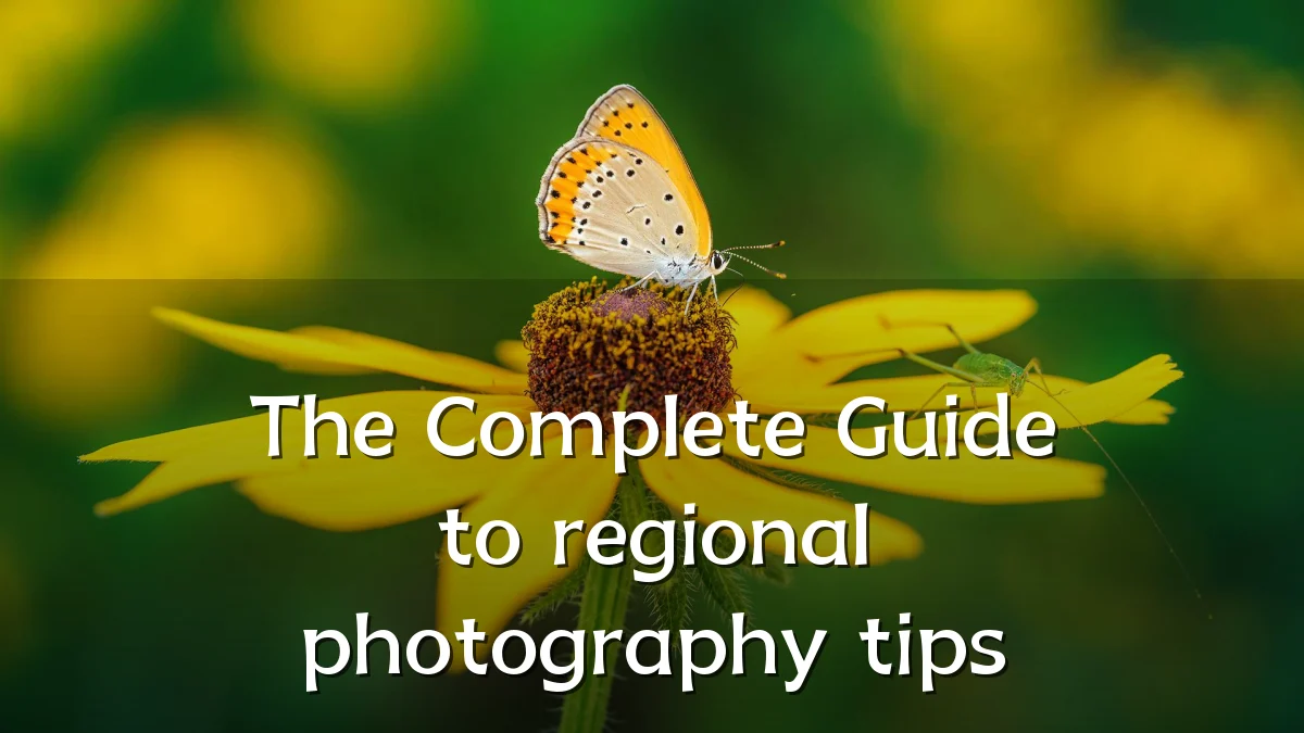 The Complete Guide to regional photography tips