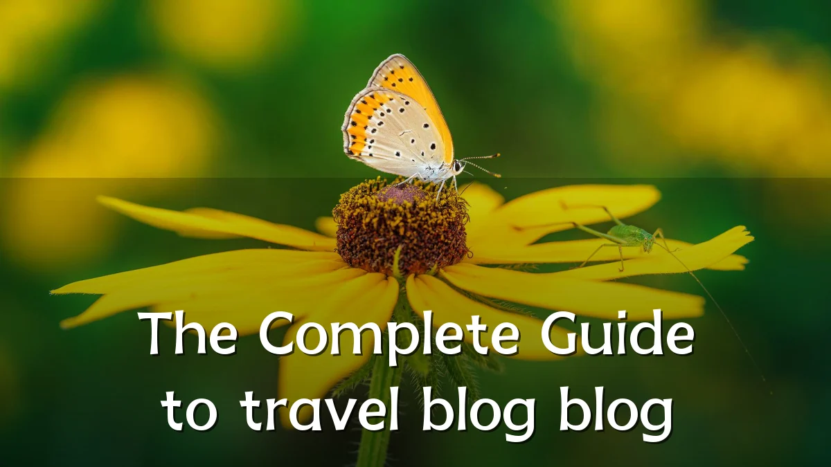The Complete Guide to travel blog blog