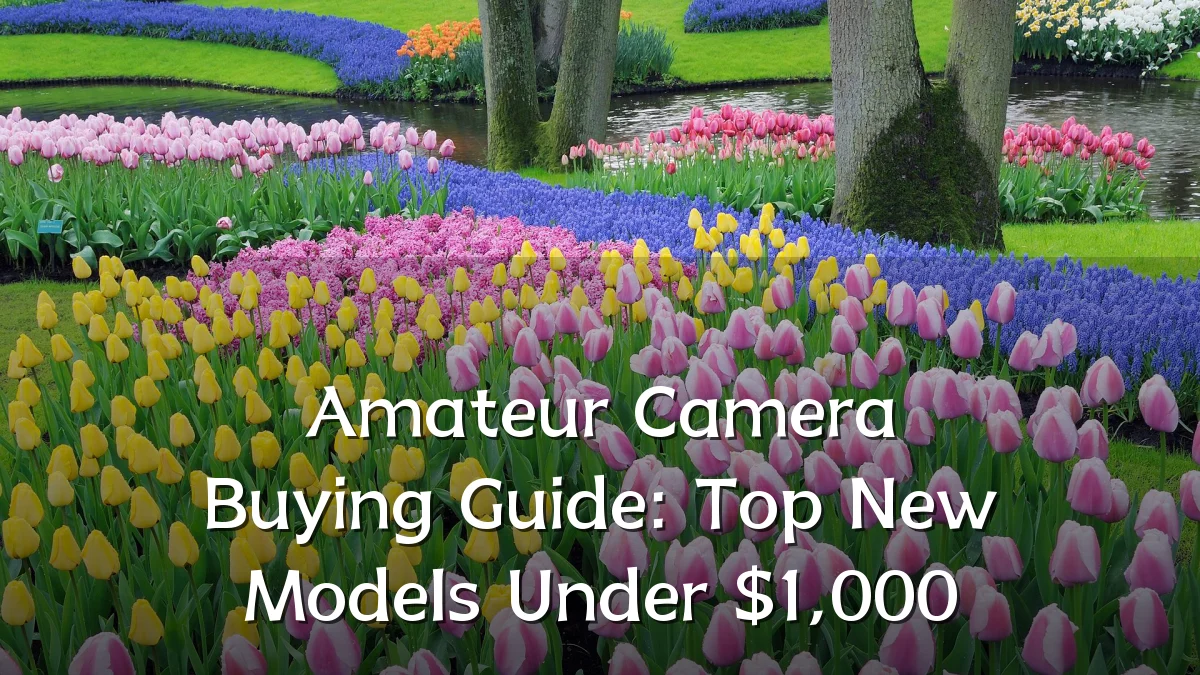 Amateur Camera Buying Guide: Top New Models Under $1,000