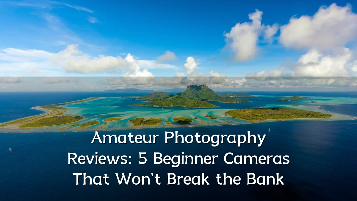Amateur Photography Reviews: 5 Beginner Cameras That Won't Break the Bank