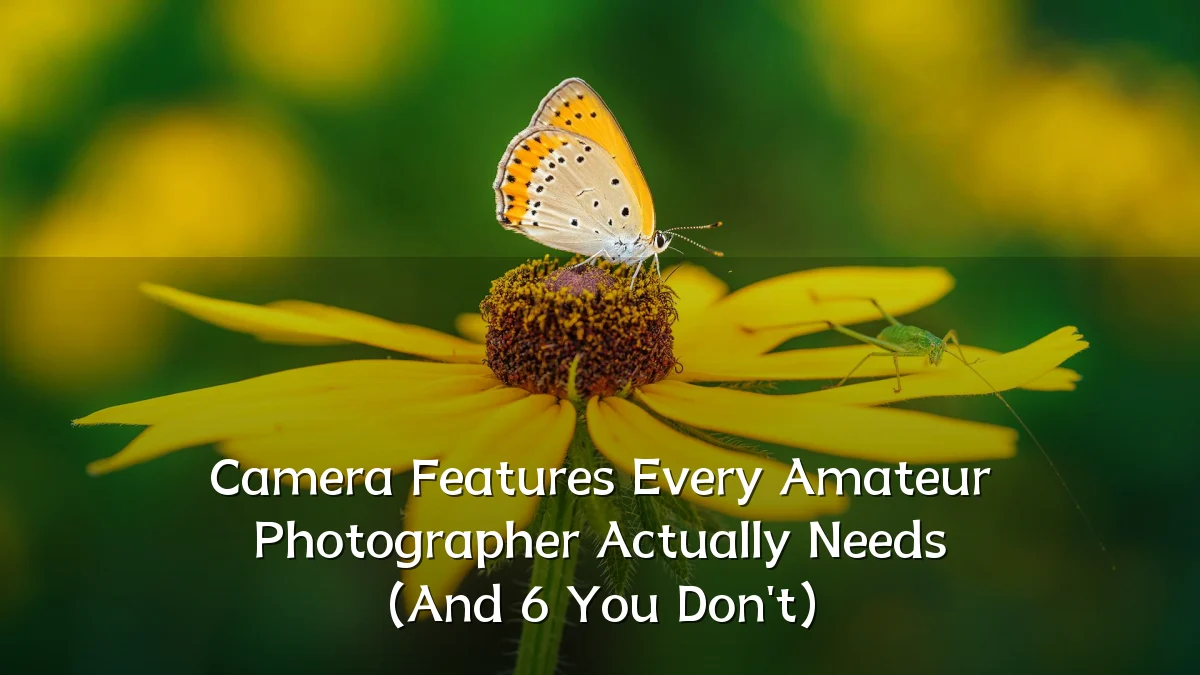 Camera Features Every Amateur Photographer Actually Needs (And 6 You Don't)