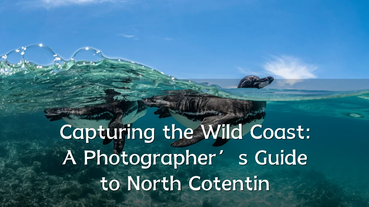 Capturing the Wild Coast: A Photographer’s Guide to North Cotentin